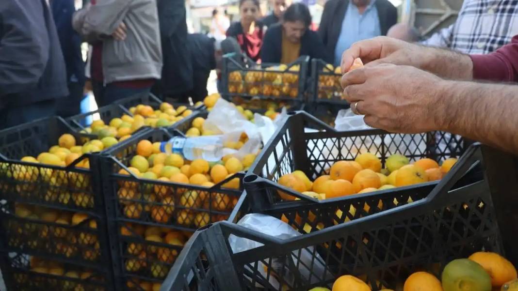 Hatay’da Mandalina Bolluğu: Tarlada Fiyatlar 2 TL’ye Kadar Geriledi 4